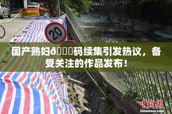 国产熟妇🈚码续集引发热议，备受关注的作品发布！