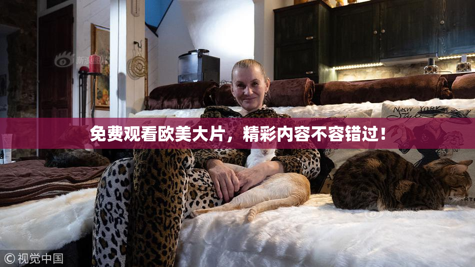 免费观看欧美大片，精彩内容不容错过！