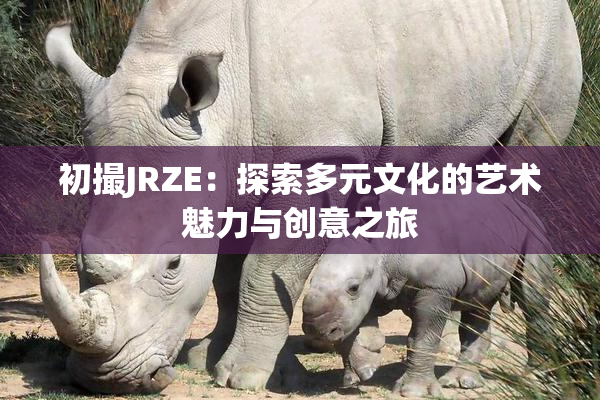 初撮JRZE：探索多元文化的艺术魅力与创意之旅