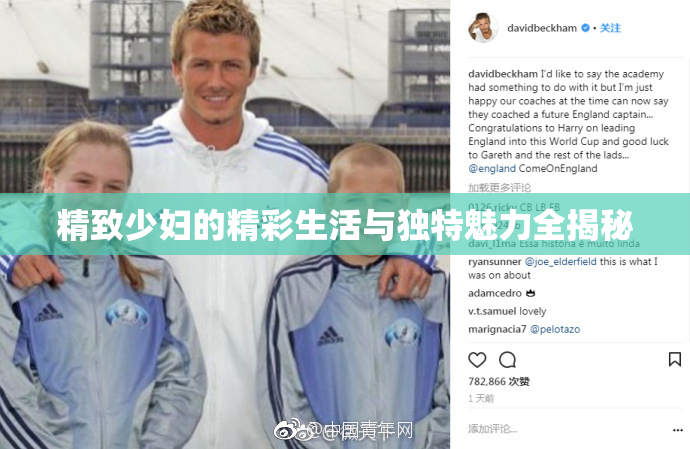 精致少妇的精彩生活与独特魅力全揭秘