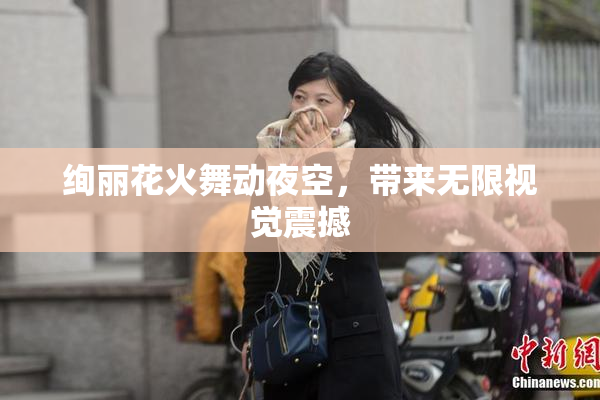 绚丽花火舞动夜空，带来无限视觉震撼
