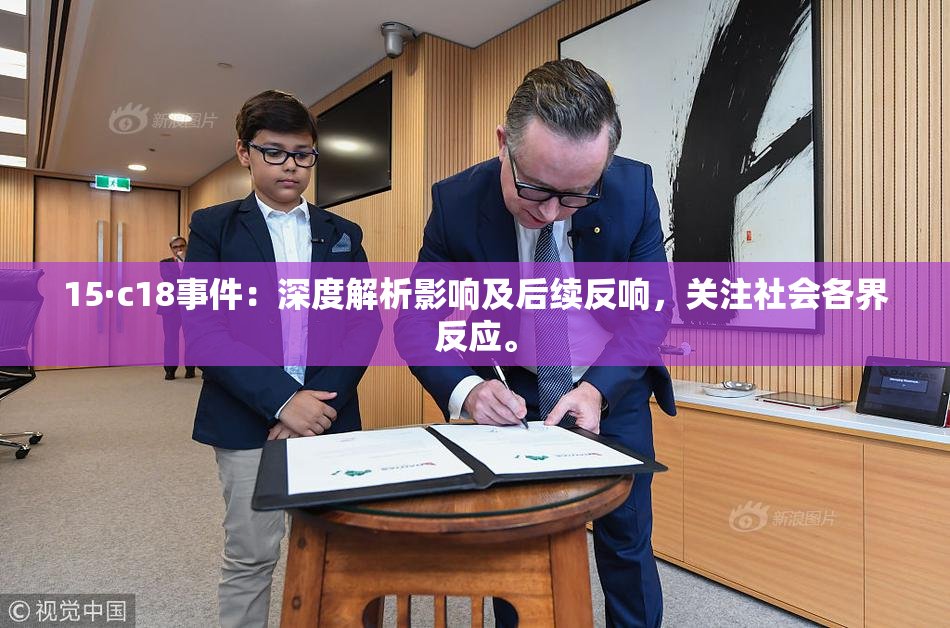 15·c18事件：深度解析影响及后续反响，关注社会各界反应。
