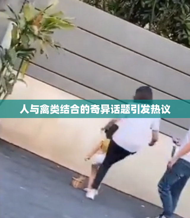 人与禽类结合的奇异话题引发热议