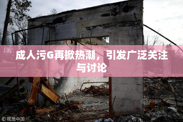 成人污G再掀热潮，引发广泛关注与讨论
