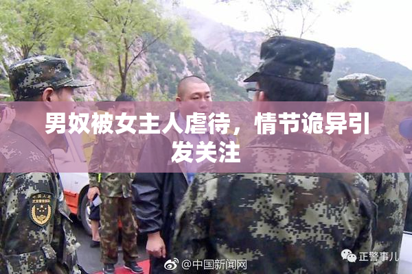 男奴被女主人虐待，情节诡异引发关注