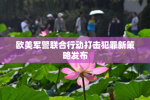 欧美军警联合行动打击犯罪新策略发布