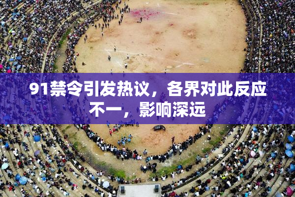 91禁令引发热议，各界对此反应不一，影响深远
