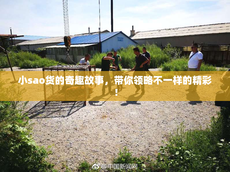 小sao货的奇趣故事，带你领略不一样的精彩！