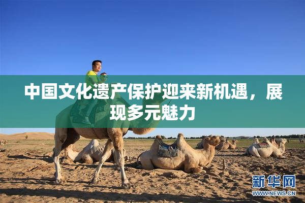 中国文化遗产保护迎来新机遇，展现多元魅力