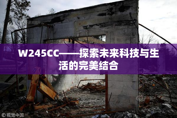 W245CC——探索未来科技与生活的完美结合