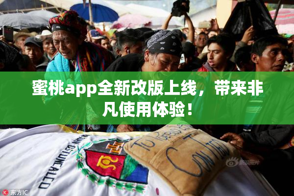 蜜桃app全新改版上线，带来非凡使用体验！