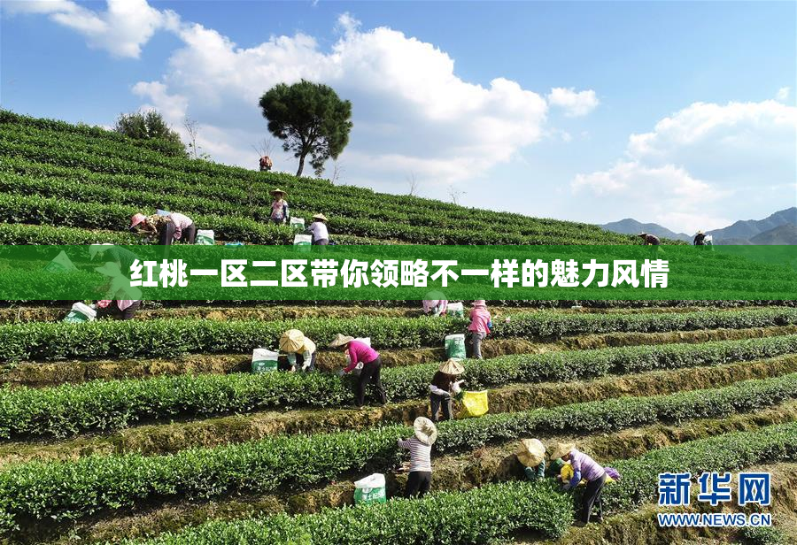 红桃一区二区带你领略不一样的魅力风情