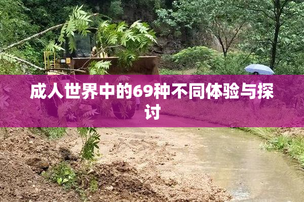 成人世界中的69种不同体验与探讨