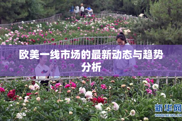 欧美一线市场的最新动态与趋势分析