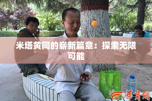 米塔黄同的崭新篇章：探索无限可能