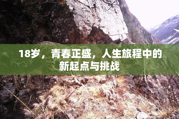 18岁，青春正盛，人生旅程中的新起点与挑战