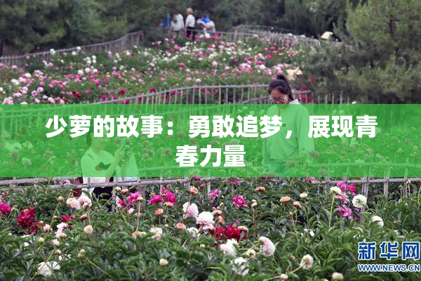 少萝的故事：勇敢追梦，展现青春力量
