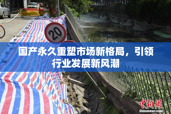 国产永久重塑市场新格局，引领行业发展新风潮