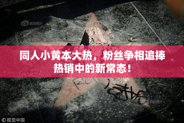 同人小黄本大热，粉丝争相追捧热销中的新常态！