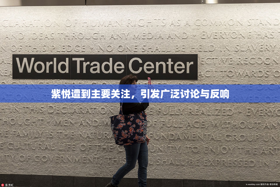 紫悦遭到主要关注，引发广泛讨论与反响