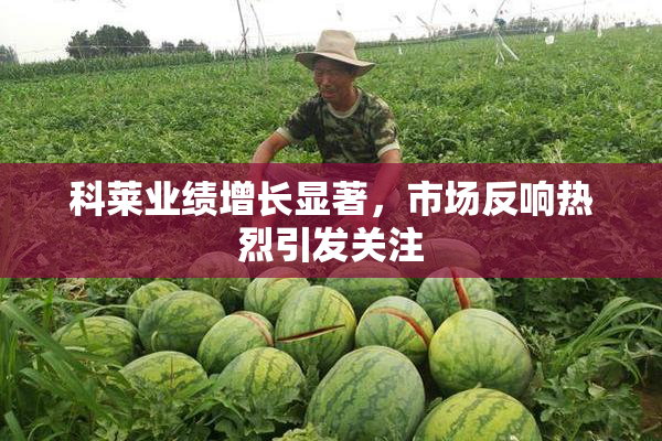 科莱业绩增长显著，市场反响热烈引发关注