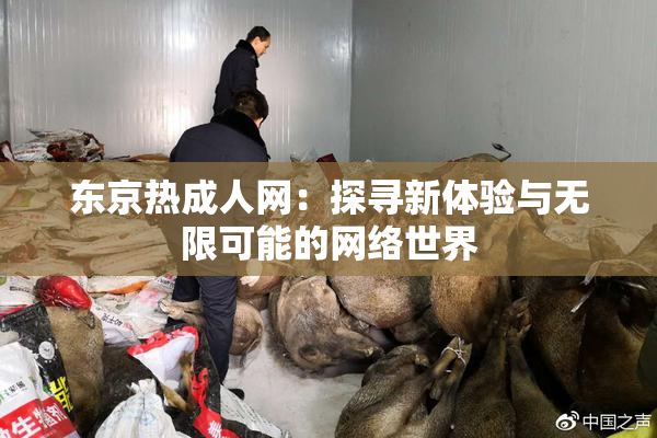 东京热成人网：探寻新体验与无限可能的网络世界