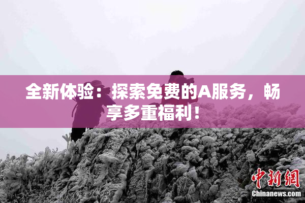全新体验：探索免费的A服务，畅享多重福利！
