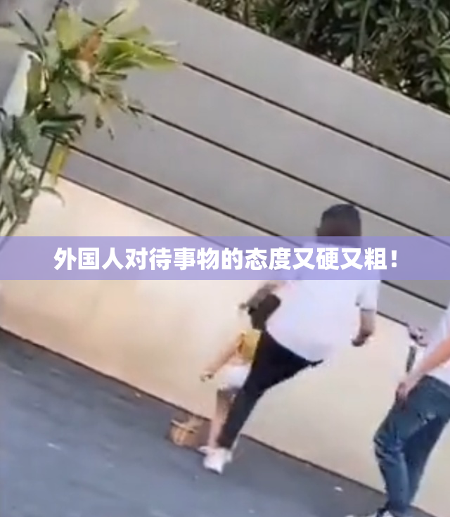 外国人对待事物的态度又硬又粗！
