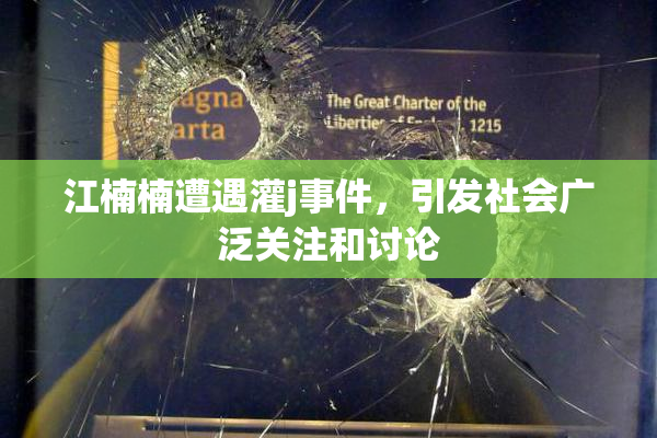 江楠楠遭遇灌j事件，引发社会广泛关注和讨论