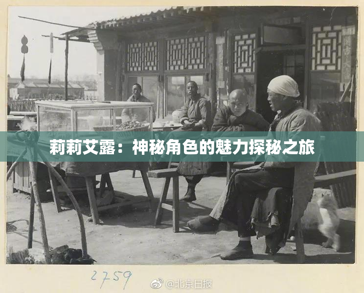 莉莉艾露：神秘角色的魅力探秘之旅