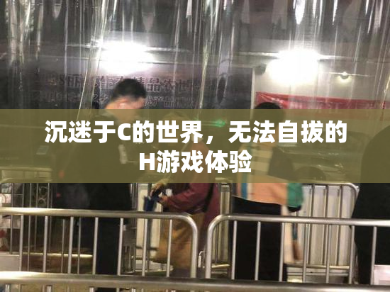 沉迷于C的世界，无法自拔的H游戏体验