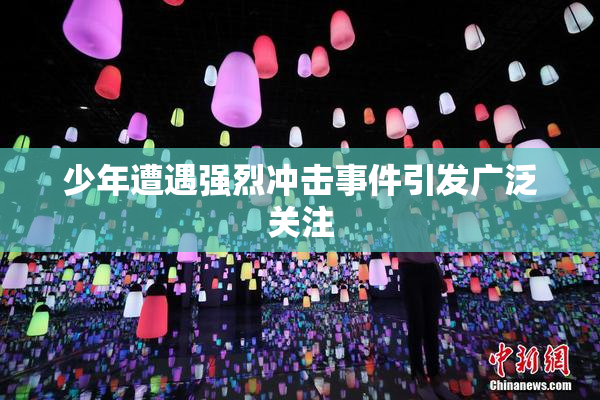 少年遭遇强烈冲击事件引发广泛关注