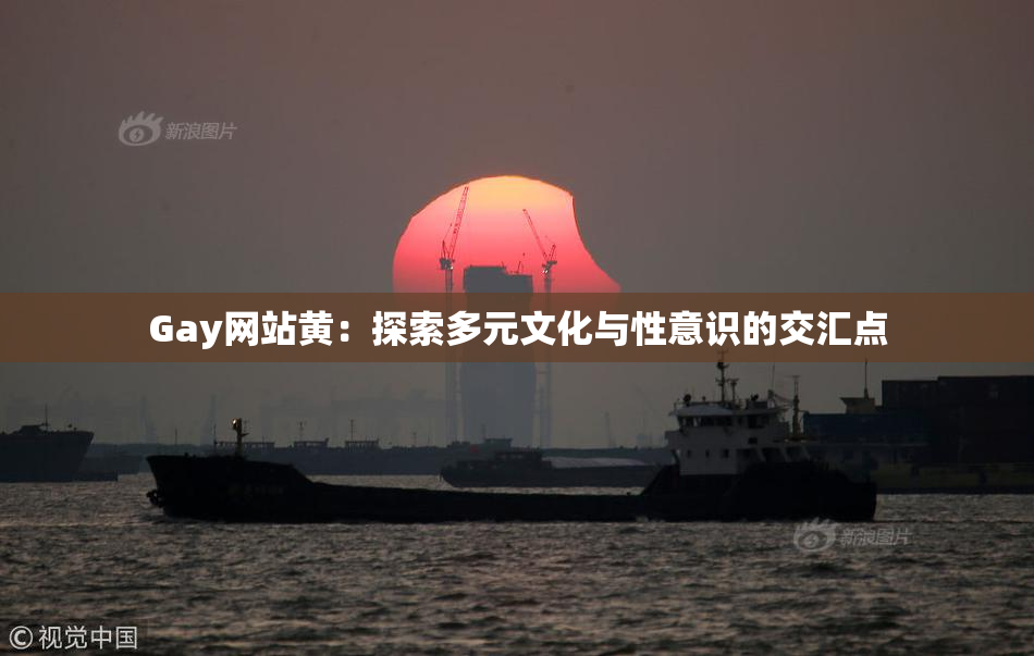Gay网站黄：探索多元文化与性意识的交汇点