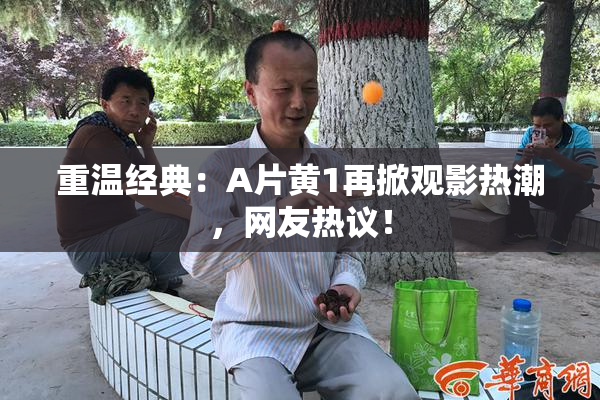 重温经典：A片黄1再掀观影热潮，网友热议！