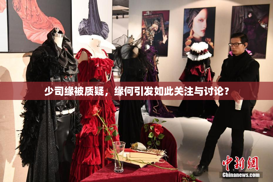 少司缘被质疑，缘何引发如此关注与讨论？