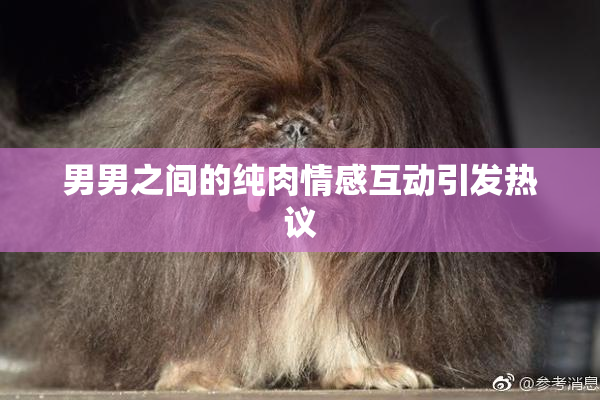 男男之间的纯肉情感互动引发热议