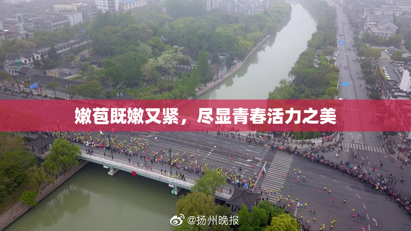 嫩苞既嫩又紧，尽显青春活力之美