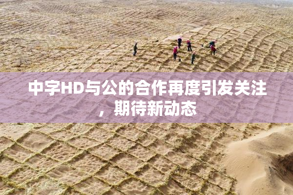 中字HD与公的合作再度引发关注，期待新动态