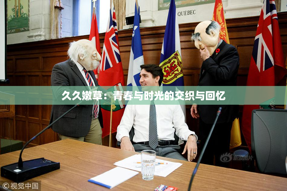 久久嫩草：青春与时光的交织与回忆
