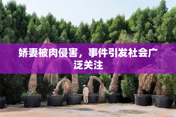 娇妻被肉侵害，事件引发社会广泛关注