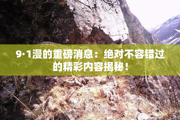 9·1漫的重磅消息：绝对不容错过的精彩内容揭秘！