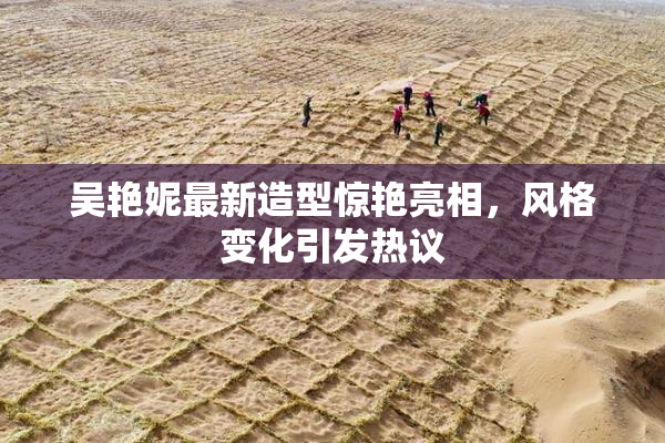 吴艳妮最新造型惊艳亮相，风格变化引发热议