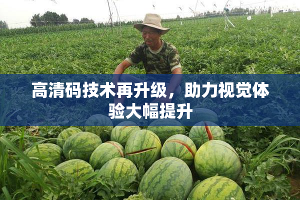 高清码技术再升级，助力视觉体验大幅提升