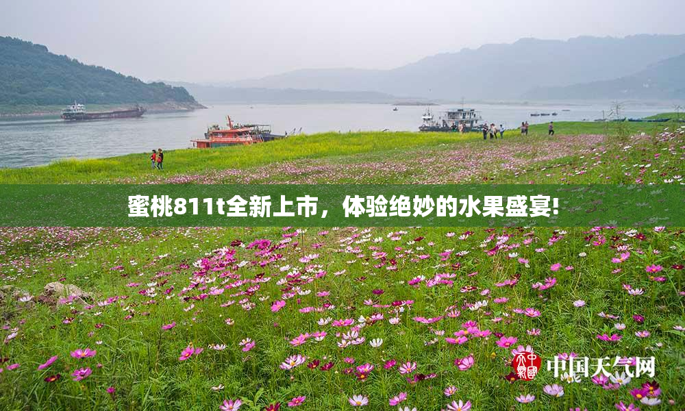 蜜桃811t全新上市，体验绝妙的水果盛宴!