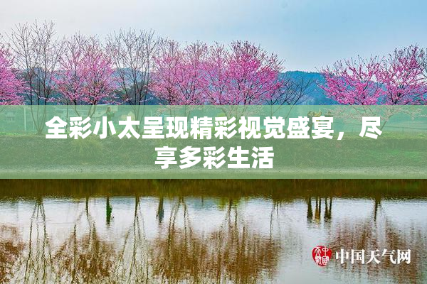 全彩小太呈现精彩视觉盛宴，尽享多彩生活