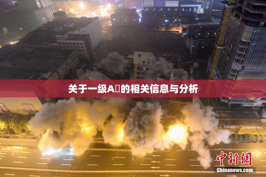 关于一级A婬的相关信息与分析