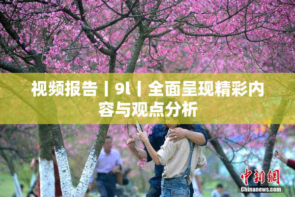 视频报告丨9l丨全面呈现精彩内容与观点分析