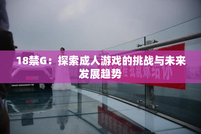18禁G：探索成人游戏的挑战与未来发展趋势