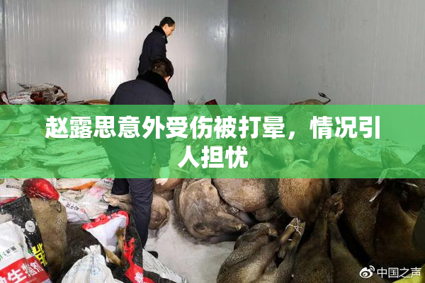 赵露思意外受伤被打晕，情况引人担忧