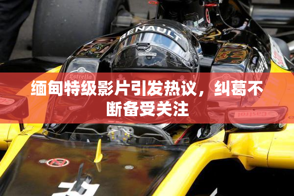 缅甸特级影片引发热议，纠葛不断备受关注